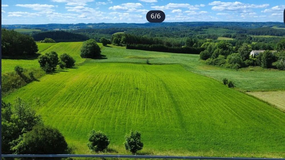 Pilnie! Działka 8.964 m² z mediami - Sidory gmina JeleniewoMazury - Więcej