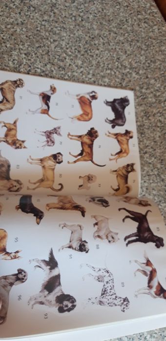 Livro Caderneta Les Chiens