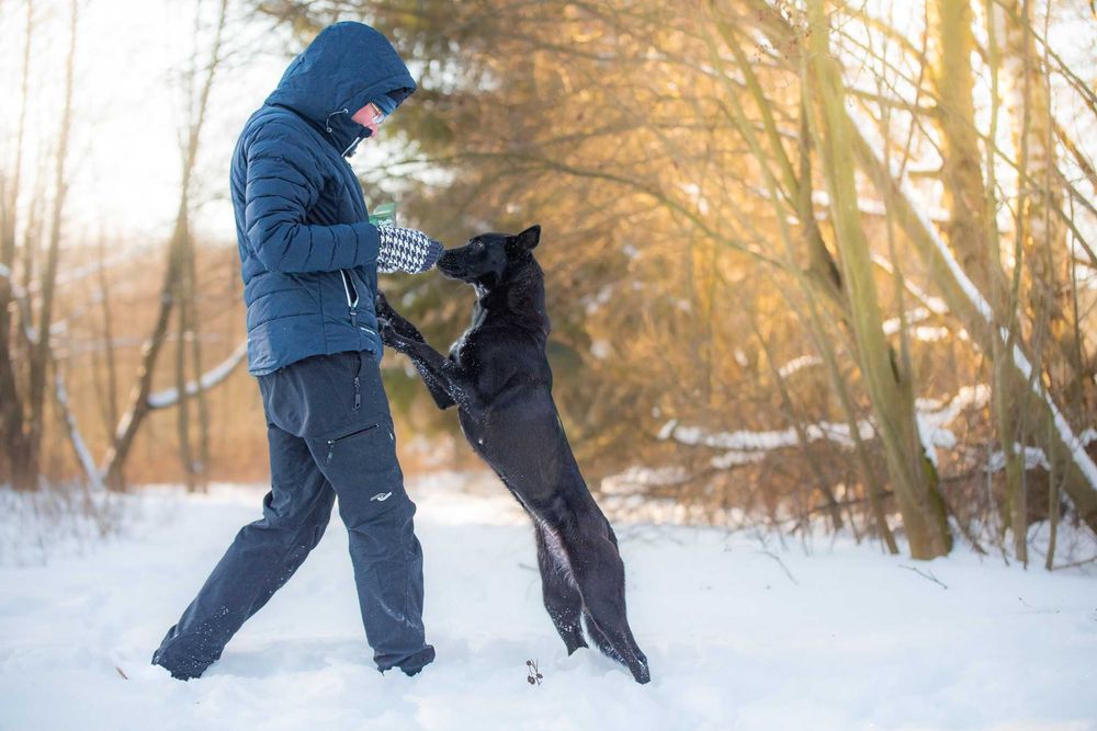 energiczna arystokratka Hilda