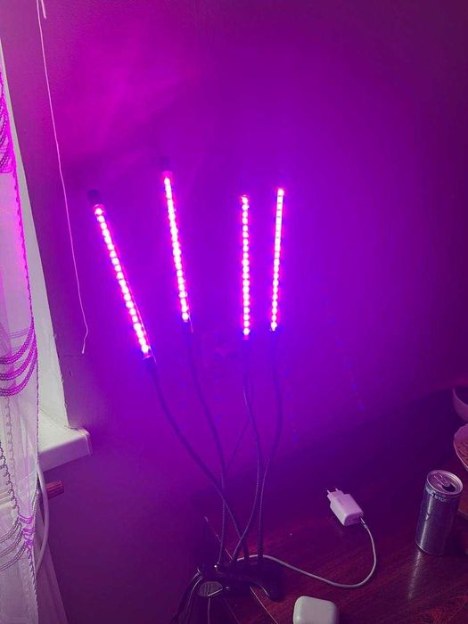 Фіто лампа на 4 рослини