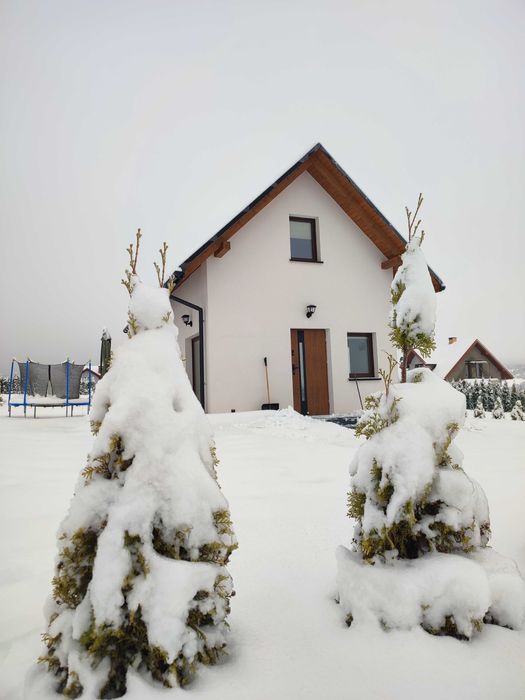 Domek pod Żukowem, kominek, Bieszczady, Widok na góry,Ustrzyki, Solina