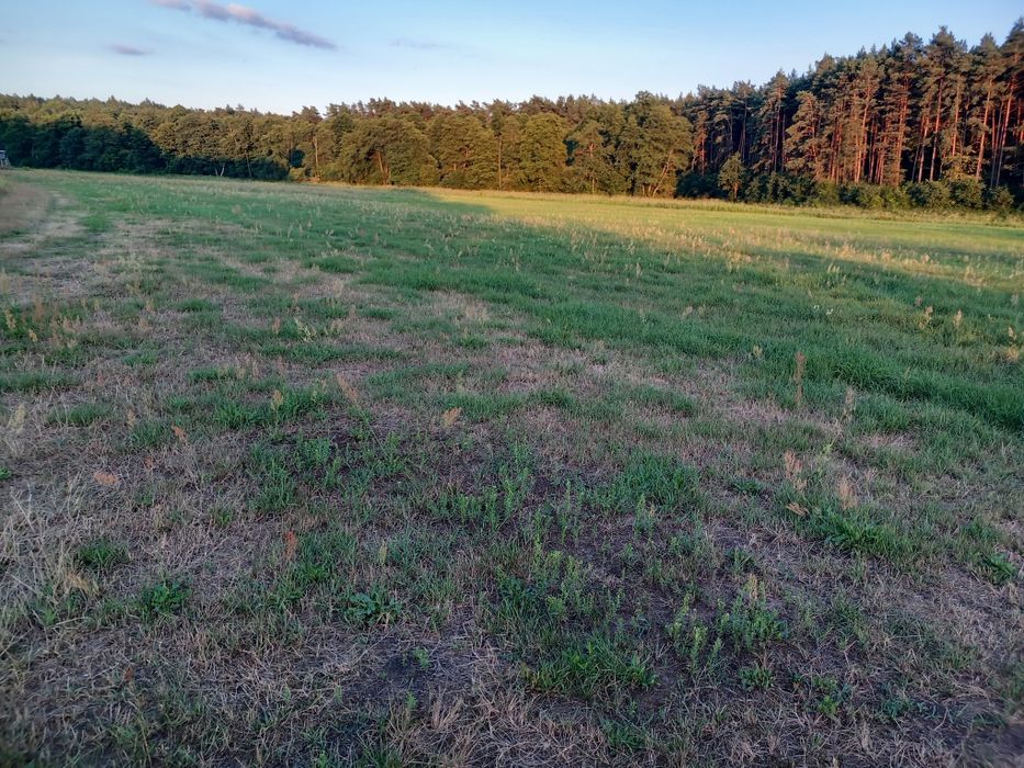 Działka rekreacyjno turystyczna