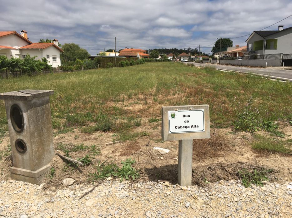 Terreno- Seixo- Gatões