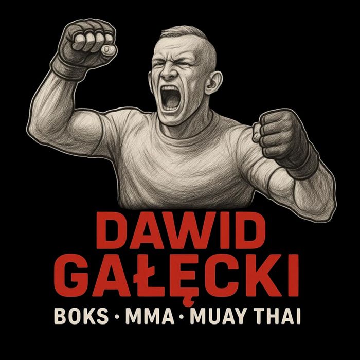 Trener Personalny  Boks/Muay Thai /MMA , Treningi Indywidualne