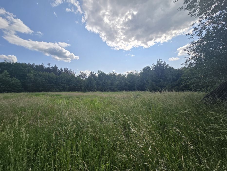 Будинок 46,7 м.кв на ділянці 25 сот. Село Гринчуки, Жовківський район, Львівська область