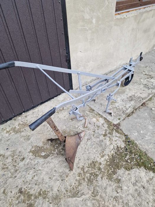 Кінний грасок  нормальний стан