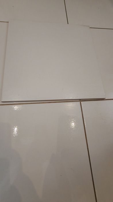 12 płytek Paradyż 33x33