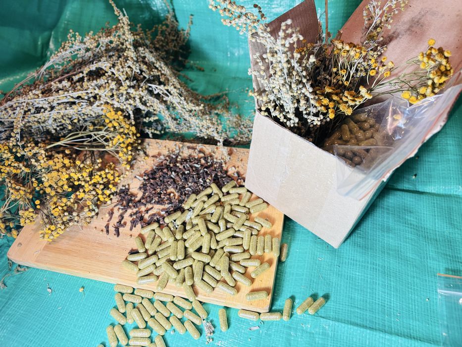 Капсули від глистів, від вірусів, антипаразитарка, трійчатка