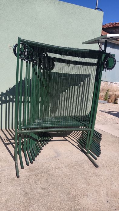 arpa  para vespa asiática