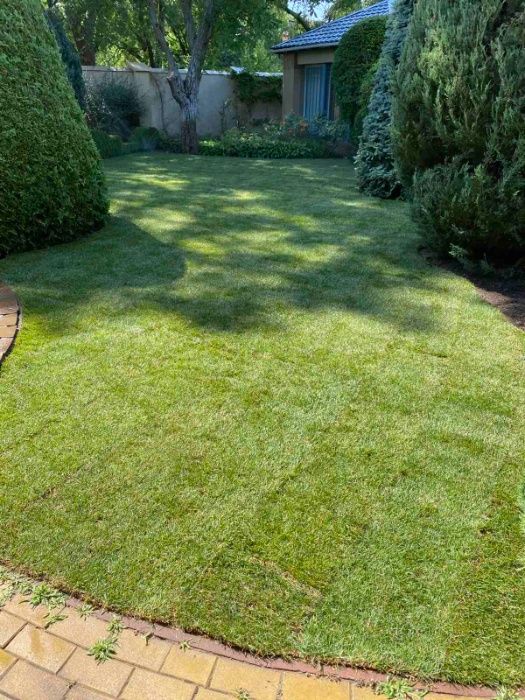 Рулонный газон, укладка рулонного газона