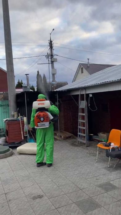 Травля тараканов срочно дезинсекция от тараканов уничтожение тараканов