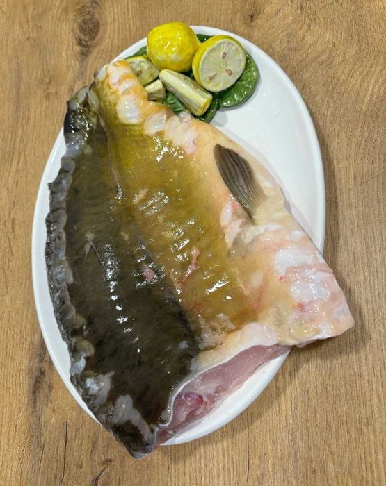 Ryby Ryba karp patroszony, żywy