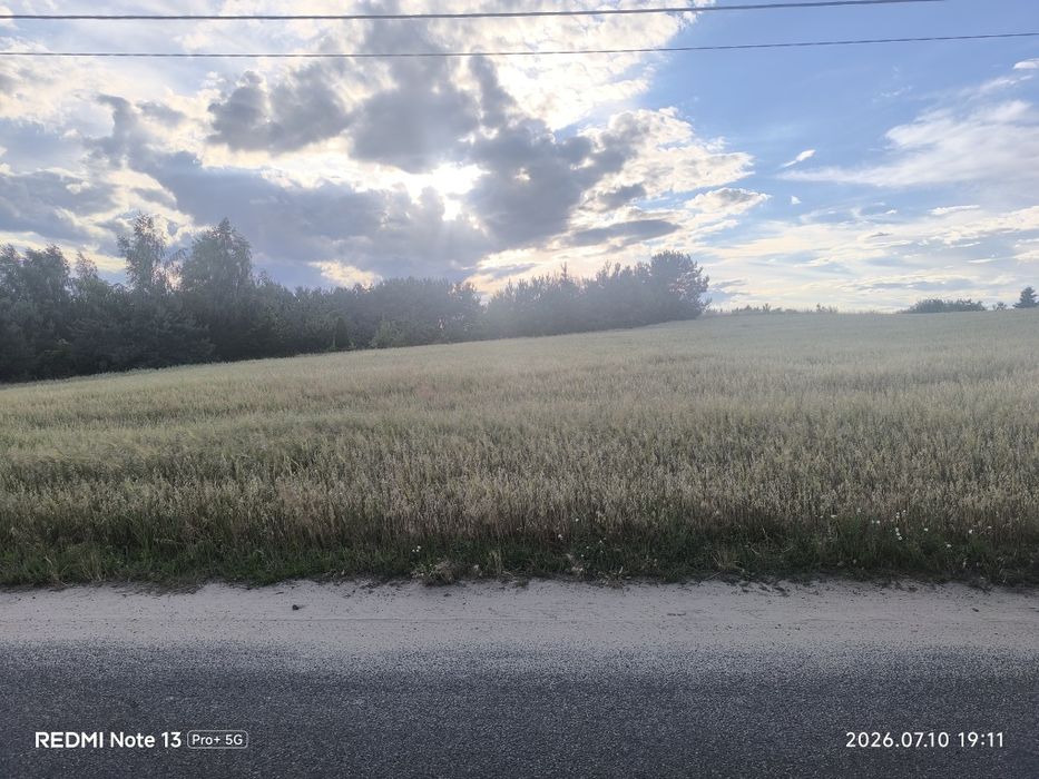 Działki budowlane, Osiek NOWA CENA