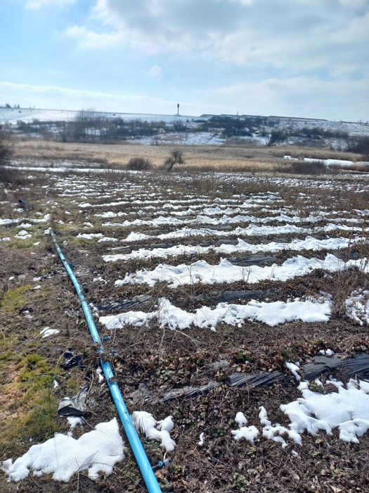 Продам будинок в селі 16 км від города