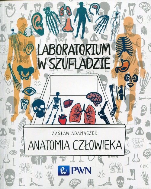 Anatomia Człowieka Laboratorium W Szufladzie. Nowy Produkt