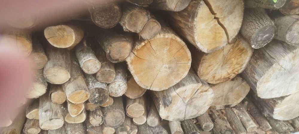 Drewno opałowe DĄB SOSNA OLCHA sezonowane suche