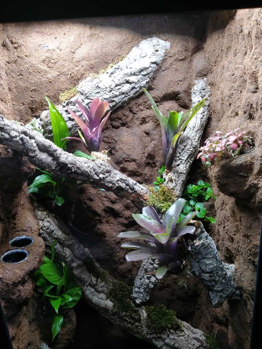 Wyjątkowe terrarium z witryny Fabrikör IKEA
