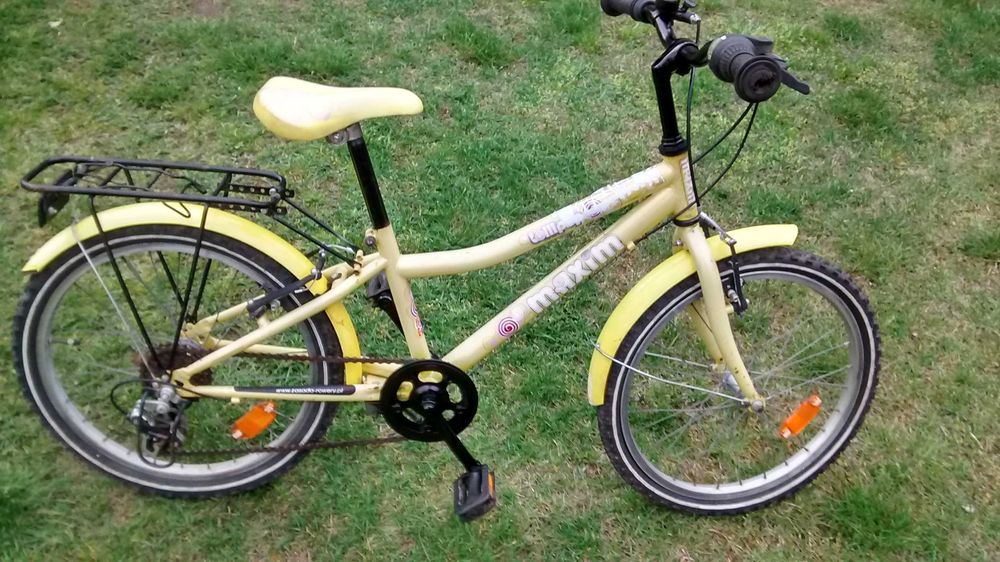 Przyczepka Rowerowa