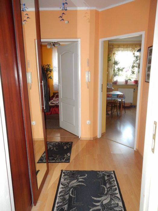 Do wynajęcia 2-pokojowe mieszkanie z własnym ogródkiem