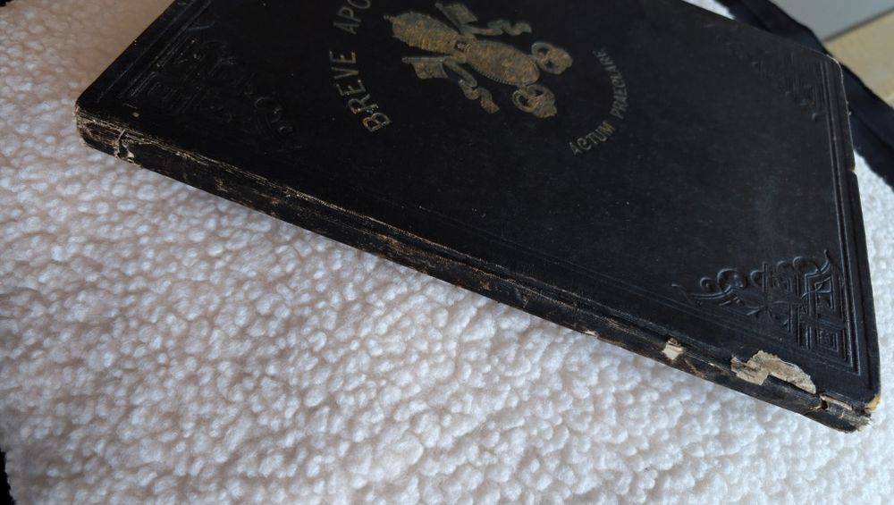 Breve Apostolicum: Actum Praeclare, um documento oficial da Igreja Católica emitido pelo Papa Leão XIII