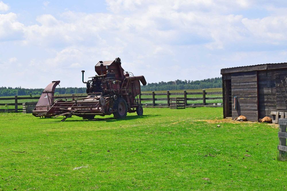 Leśny Zakątek Uroczysko domek na wynajem balia sauna basen wi fi