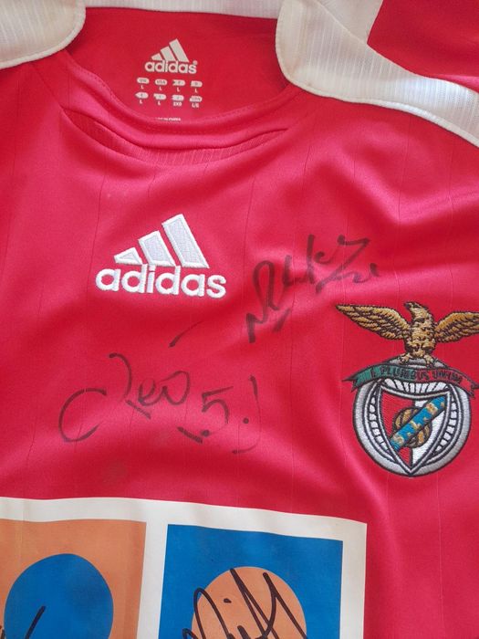 Camisola oficial do Benfica, epoca2006/7, autografada por Luisão, Nuno Gomes, Léo, Quim, katsouranis, Simão Sabrosa, etc.
