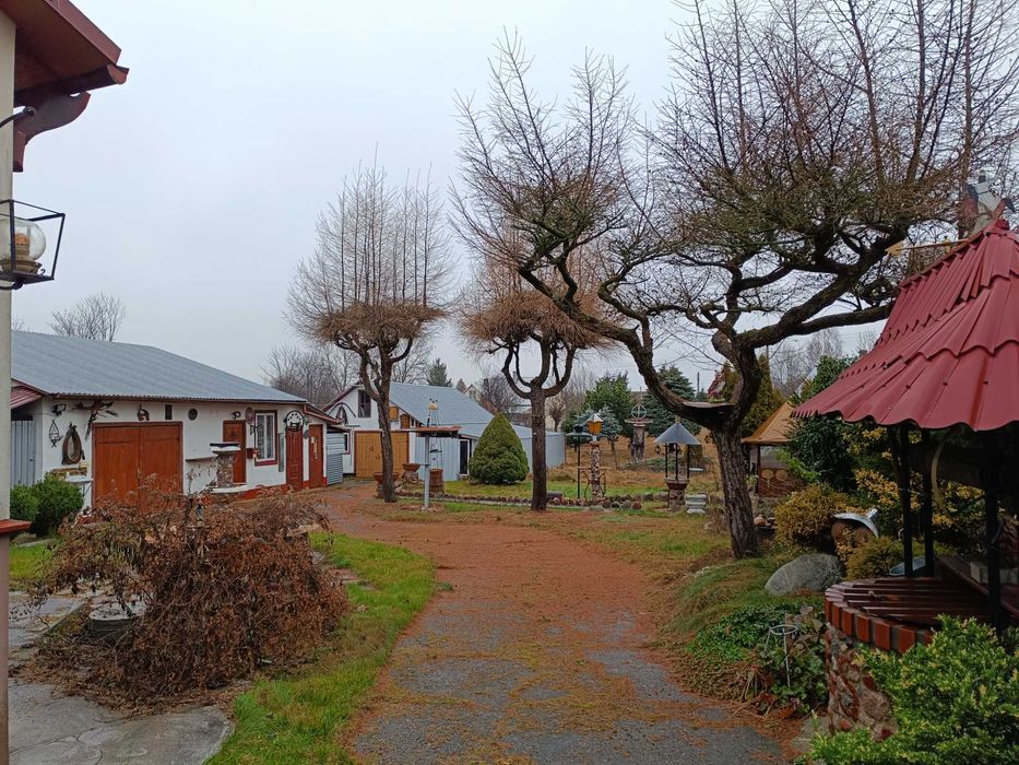 Perełka w Narwi - dom na pięknej działce na sprzedaż