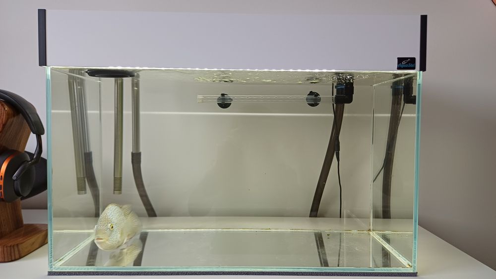 Akwarium optiwhite diversa 60x30x36