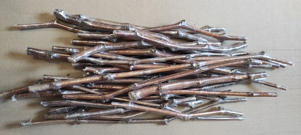 Виноград Аватар (Свит Сапфир)