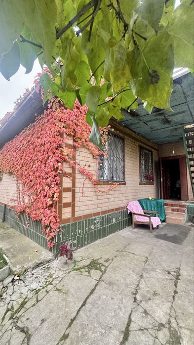 Дача коло Дніпра