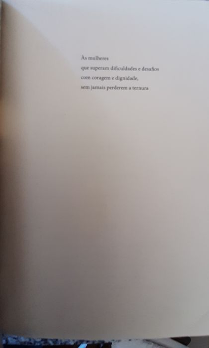 GRAÇA DO RIO - Romance de Fernando Basto Ferraz