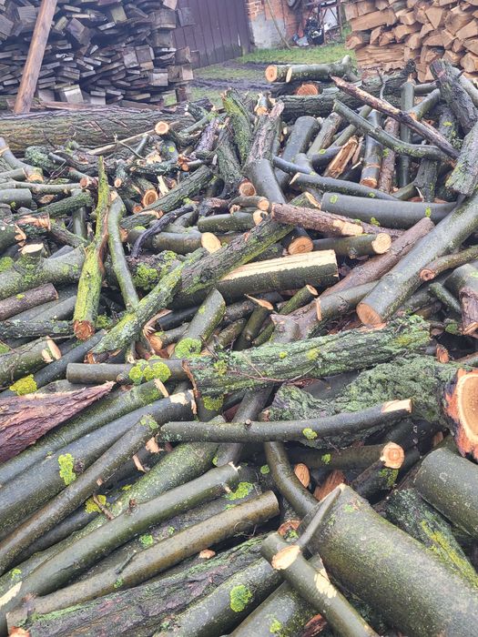 drzewo na opał AKACJA