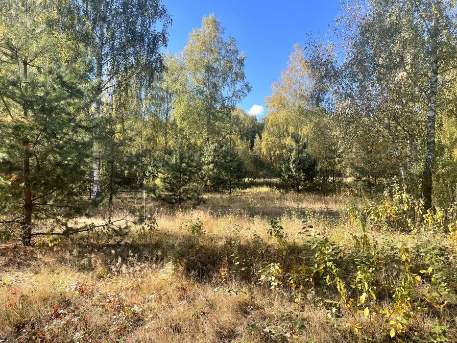 Budowlane, Żabieniec g. Parysów, przy granicy z g. Garwolin i g.Pilawa