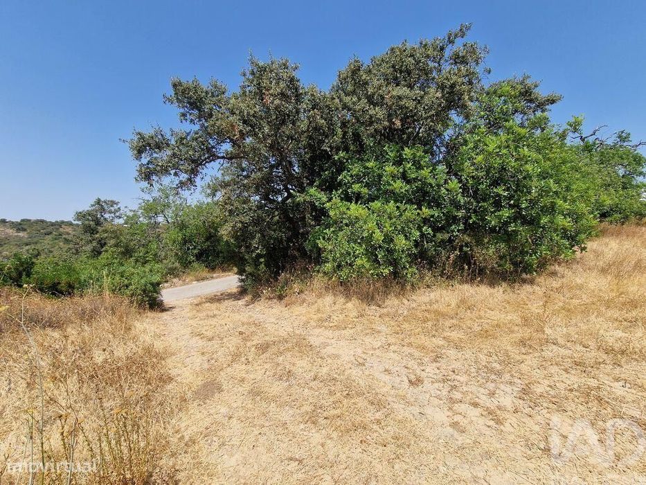 Terreno Agrícola em Santa Bárbara de Nexe