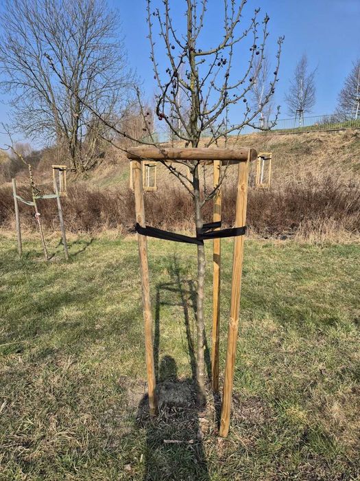 Podpora do drzew KATALP 2,5m – zestaw impregnowany (taśmy + wkręty)