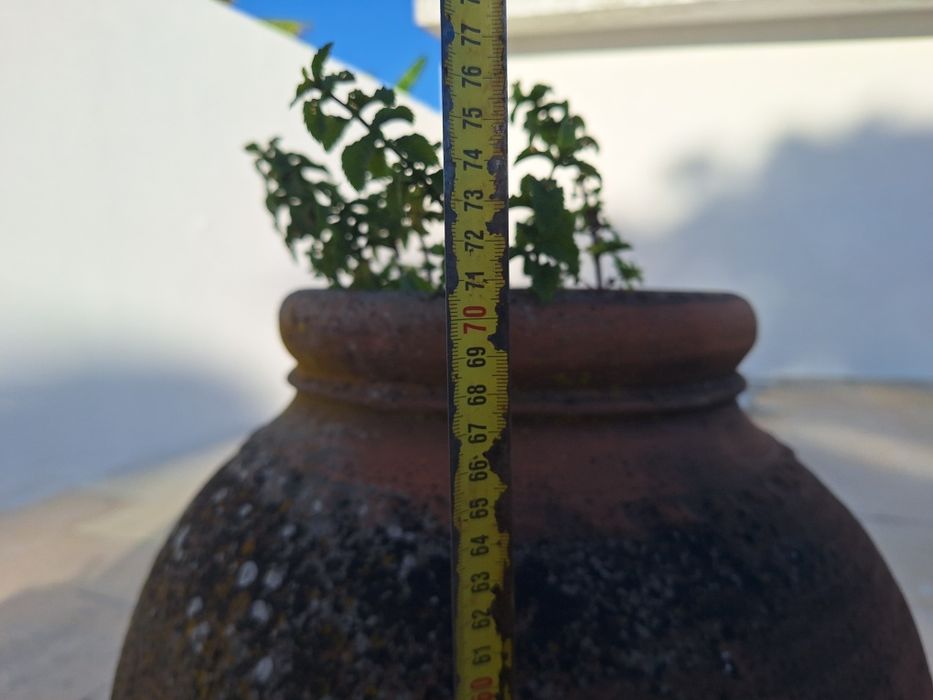 Potes ânfora vaso de barro