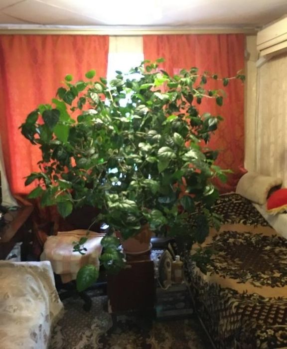 Продажа комнаты в центре Одессы, 18 м²