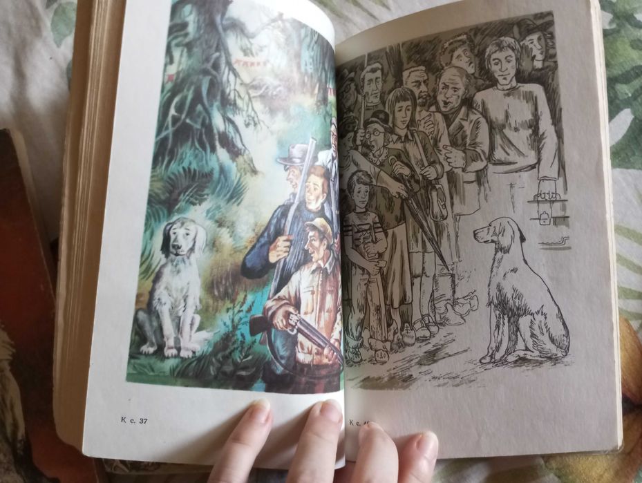 Троепольский Белый Бим черное ухо