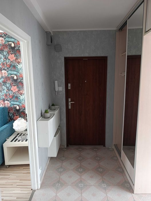 Wynajmę mieszkanie 2 pokoje I piętro Iwaszkiewicza - Widok 3