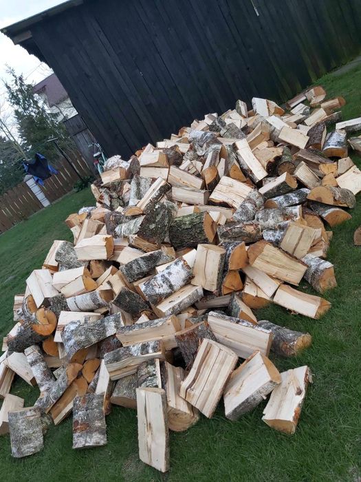 Brzoza  Dąb Olszyna Sosna  Buk