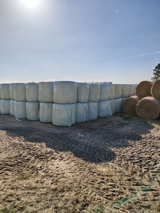 Sianokiszonka z transportem