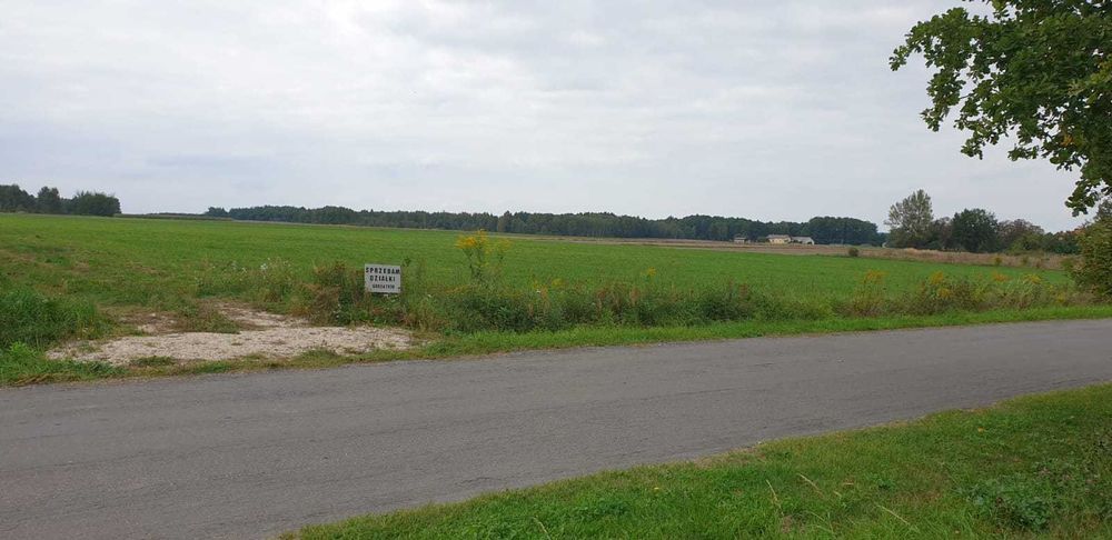 Działki w Postękalicach (w trakcie uzyskiwania warunków zabudowy)