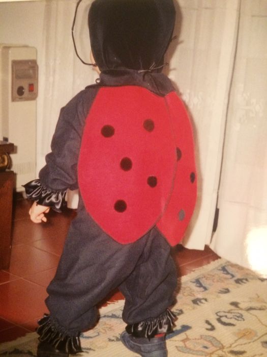 Fato de Carnaval de Joaninha T: 2-3