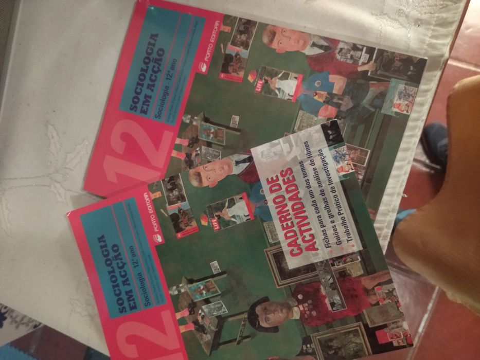 Sociologia em Acção 12 ano