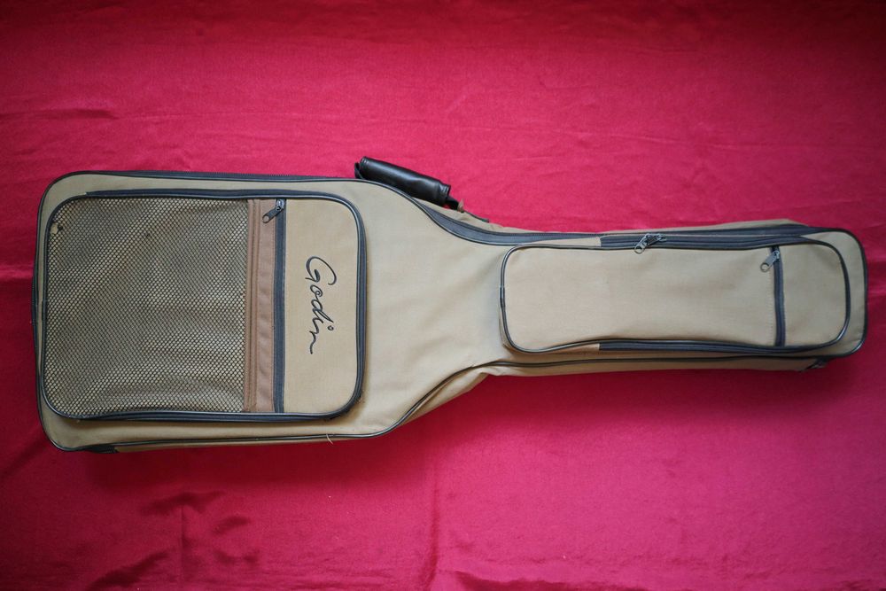 Godin Triumph Silver Sparkle