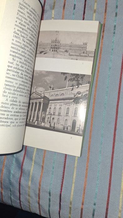 A arte portuguesa oitocentos José Augusto França