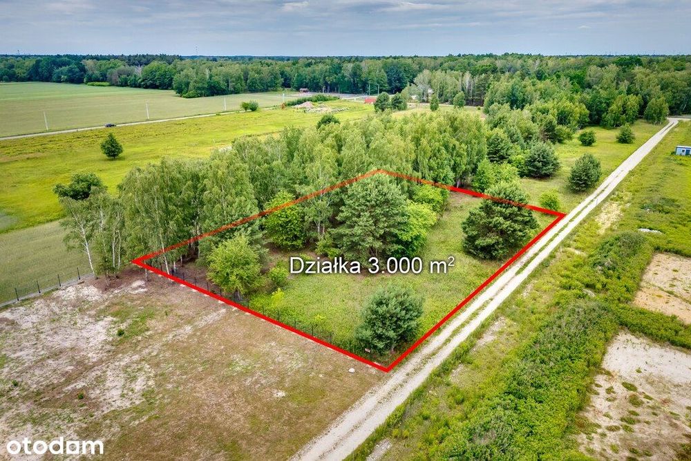 Działka 3000 m² z potencjałem inwestycyjnym – Bory