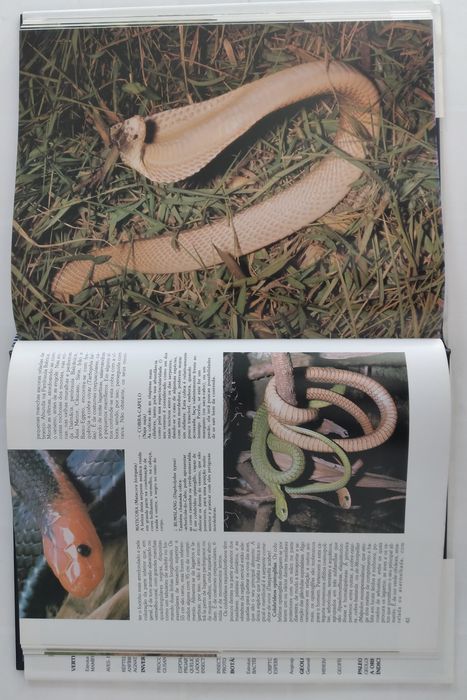 História Natural - 12 livros