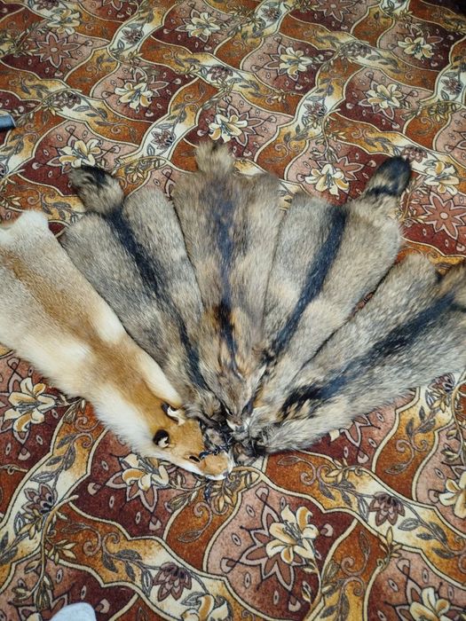 Шкури єнота та лисиці