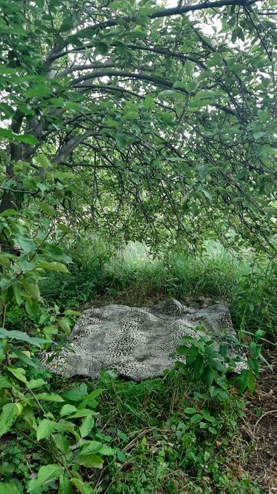 Продам Дачу за Чайкой,